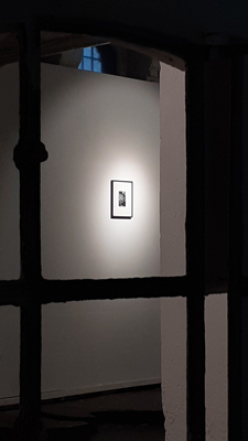 Installation View xpon-art